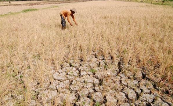 BMKG预估西努沙登加拉省5月迎来旱灾
