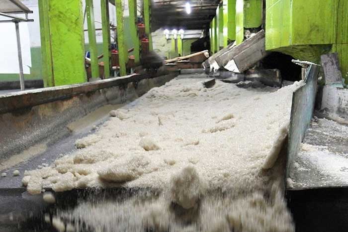 提高国内糖产量，PTPN III 计划建造价值 20 万亿印尼盾的糖厂