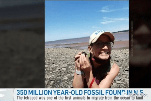 捡到宝了！加拿大女子发现3.5亿年前化石