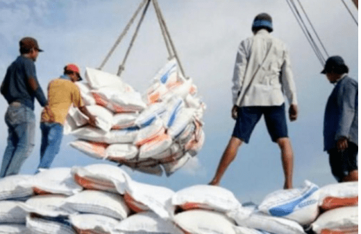 印尼经济学家：食品进口有损农民经济利益