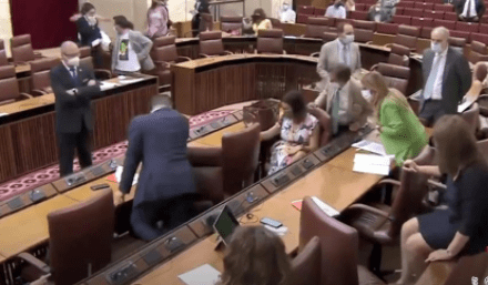 老鼠闯入西班牙议会现场 吓坏议员现场混乱