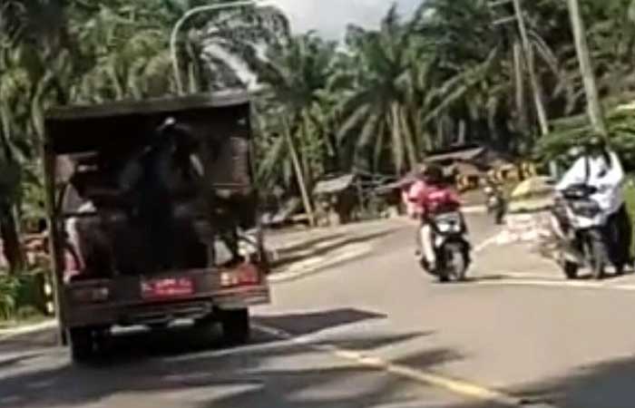 亚齐塔米昂（Aceh Tamiang）公共秩序局成员被指控勒索小摊贩