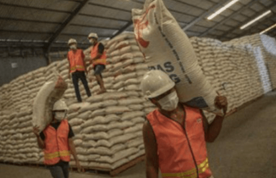 国家仓储米过剩 需维护保质成本