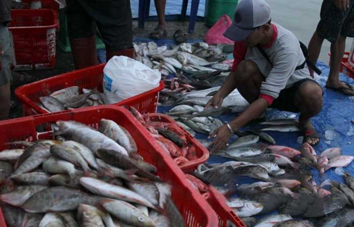 新冠肺炎踪迹检测成为渔产品出口条件