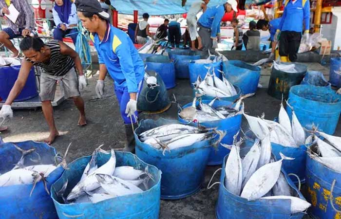 使用配额在海中捕鱼可以产生每年 124 万亿印尼盾的经济营业额