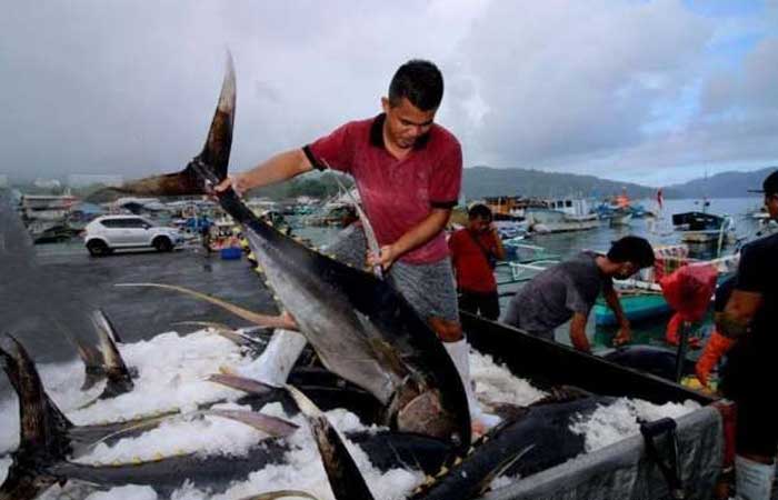 渔业与海洋部仍在制定捕捞配额政策