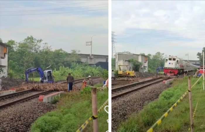 数十只鸭子被火车撞倒的瞬间，影片曝光！