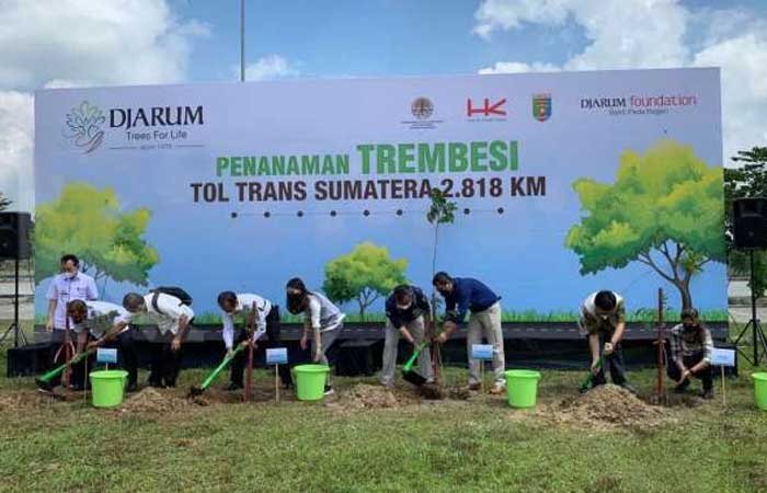 针记基金会的目标：2022 年在跨苏岛收费公路种植 15,000 棵 Trembesi 树