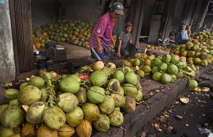 印尼在世界椰子生产中占主导地位