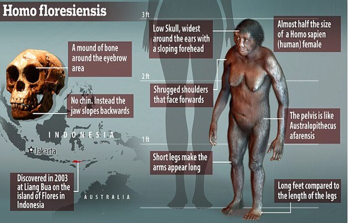 人类学家预估早期人类仍然存在