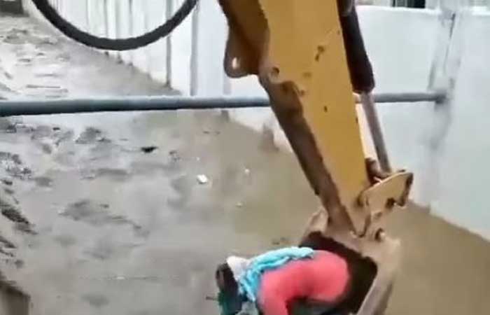 建筑工人英勇举动救狗脱离水流，网友：佩服！