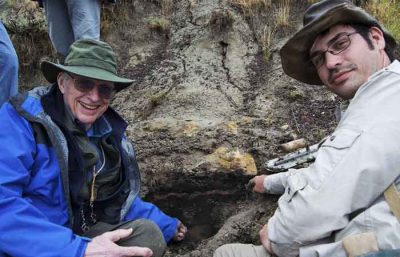 凶器找到了！6600万年前恐龙「剋星」 碎片藏在琥珀中