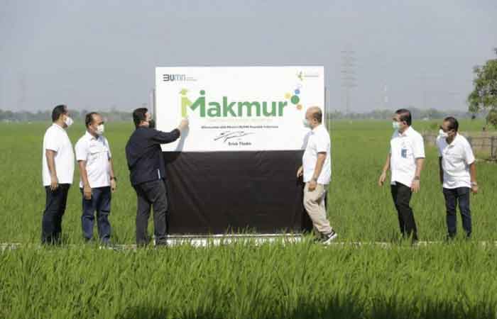 印尼实现的化肥繁荣方案 达到 140,108 公顷