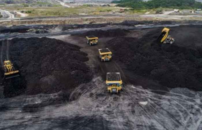 Adaro 在煤炭特许权使用费上升时的计划