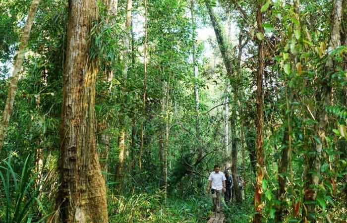 RMU 与中加省卡廷岸居民合作管理乡村森林