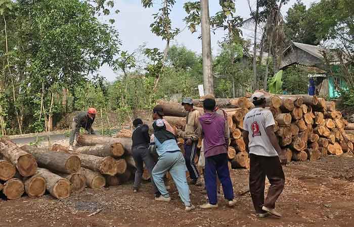 印尼希望森林管理认证平等