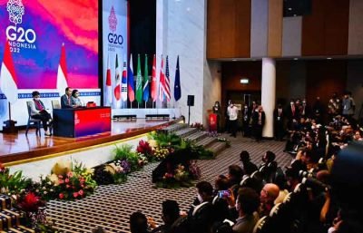 椰风蕉雨：阿尼斯有在G20峰会发表讲话吗？