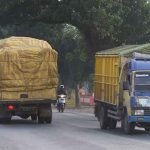Apindo 总主席针对卡车超载禁令的建议