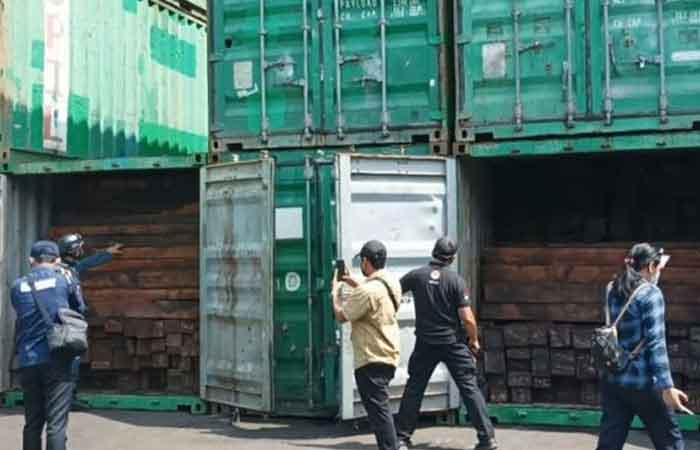当局揭发巴布亚毁林行径 扣押57个集装箱非法砍伐木材