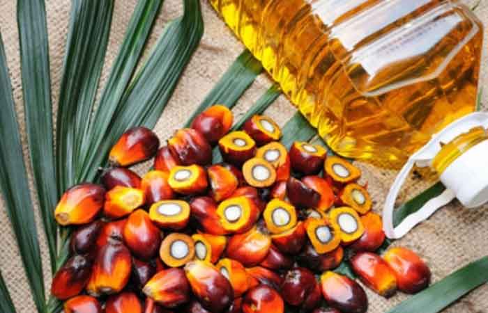 印-马向欧盟发起棕榈油没使命