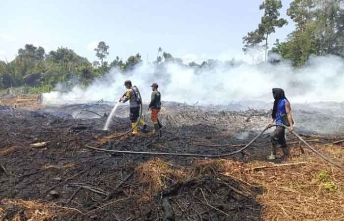 廖内望加丽烧毁 25 公顷森林和泥炭地火灾，2 天大火仍未熄灭