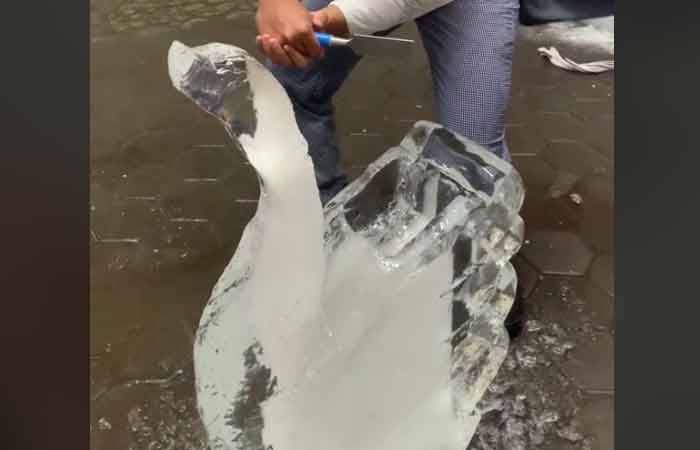 疯传！学生将冰块雕刻成天鹅，视频曝光