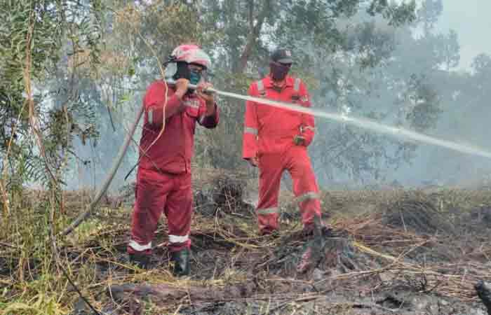 北干巴鲁森林及土地火灾，灭火工作仍在进行中，火势已进入泥炭地