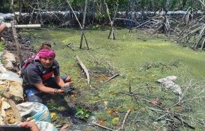 哲帕拉渔民对当地环境污染造成的经济影响感到担忧