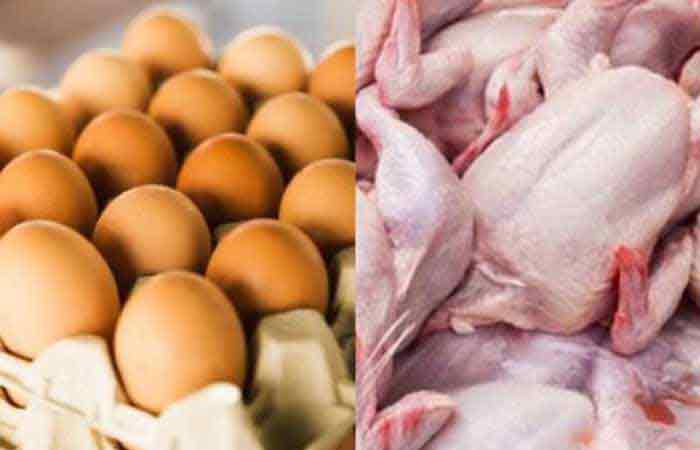 政府将连续三个月提供社会援助 并向具有营养不良儿童家庭分发鸡肉