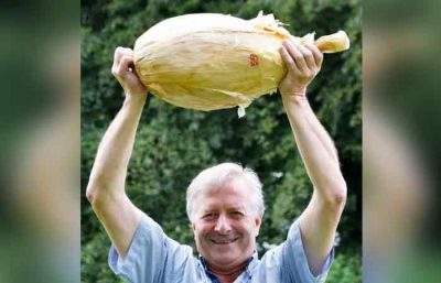 有望创下金氏世界纪录！英国农夫种出近9公斤洋葱