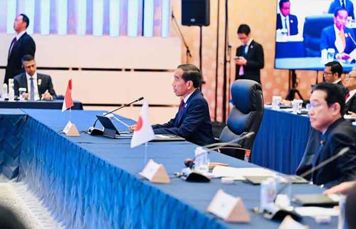 总统为东盟-日本峰会发表演讲 东盟-日本全面战略伙伴关系应能维持