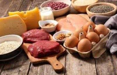 吃太多蛋白质对动脉有害