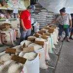 米价依然昂贵 芝槟榔大米主市场商人惊呼