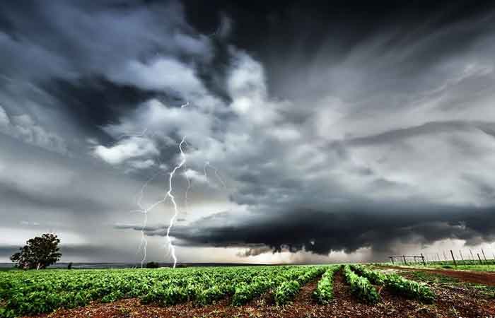 气象局提醒须防极端天气 3月4日至8日大部分地区出现暴风雨