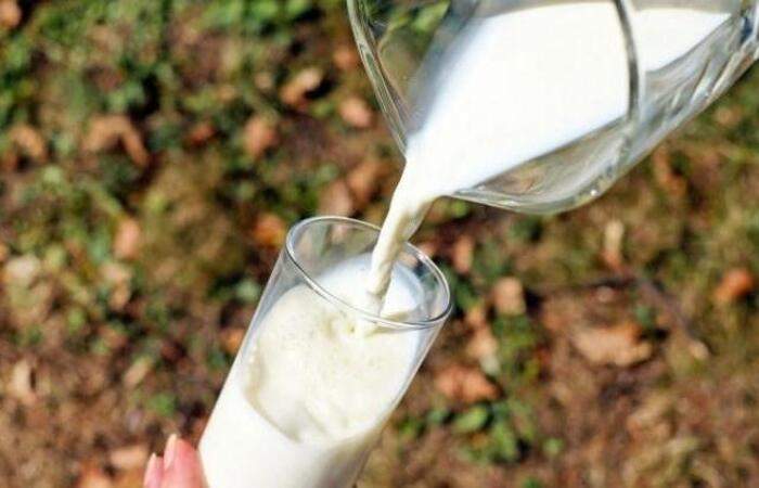 经常喝牛奶，两种癌症风险增加