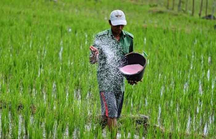 国警在稻田实地调查 某些地区出现不当分配含补贴化肥现象