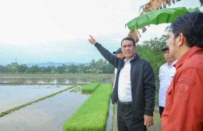 苏莱曼乐观认为抽水系统 能协助增加稻米产量提高农民经济收入