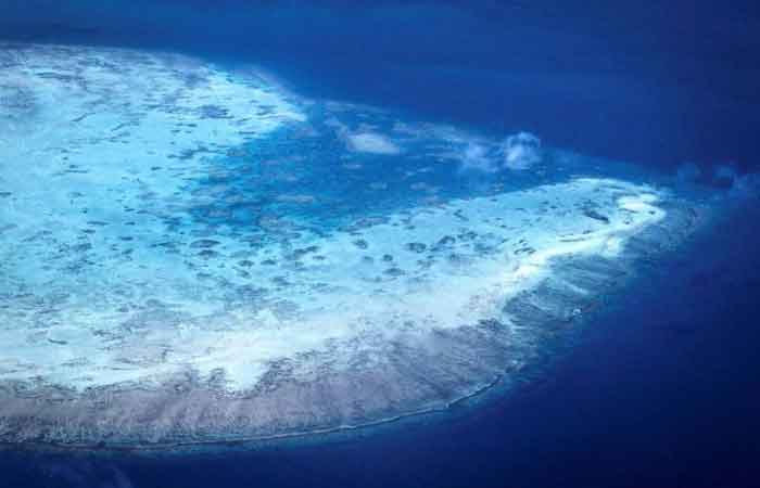 全球暖化威胁！澳洲大堡礁遭遇有史以来最严重白化现象
